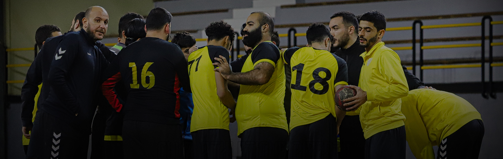 Championnat de Tunisie Handball